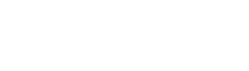 logos_0008_BILSTEIN